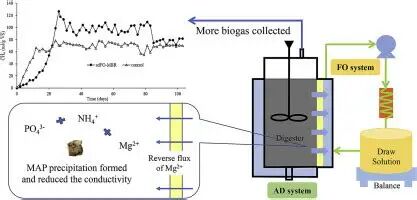 1762480175dd4a0631feec35fe73934ef7d4e3d8ba.jpeg dd4a0631feec35fe73934ef7d4e3d8ba.jpeg
