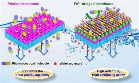 17624802068397fde38c46c1b3d795248c63bb1018.jpeg 8397fde38c46c1b3d795248c63bb1018.jpeg