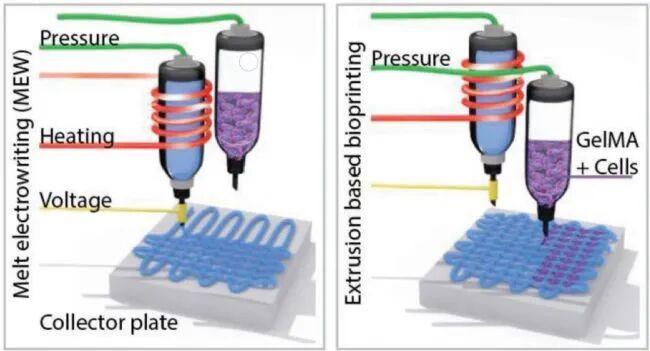 1764589533490f3a4b424acc813d94bf799438cc2f.jpeg 490f3a4b424acc813d94bf799438cc2f.jpeg