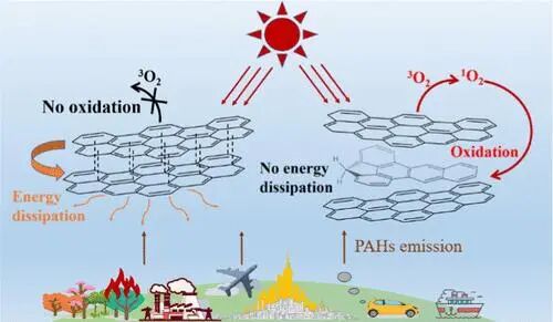 1765777280微信图片_2025-12-15_133732_525.jpg 微信图片_2025-12-15_133732_525.jpg