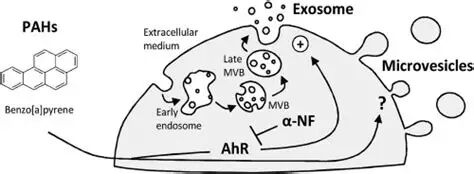 1765777356微信图片_2025-12-15_133735_456.jpg 微信图片_2025-12-15_133735_456.jpg