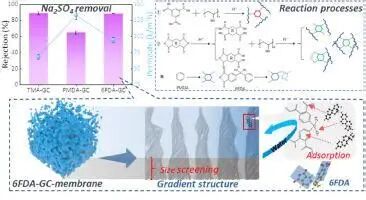 1765777368微信图片_2025-12-15_133743_113.jpg 微信图片_2025-12-15_133743_113.jpg
