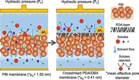 1765777422微信图片_2025-12-15_133755_049.jpg 微信图片_2025-12-15_133755_049.jpg