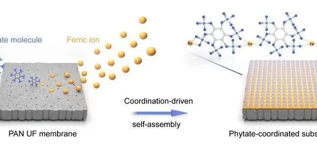 1765777455微信图片_2025-12-15_133801_537.jpg 微信图片_2025-12-15_133801_537.jpg