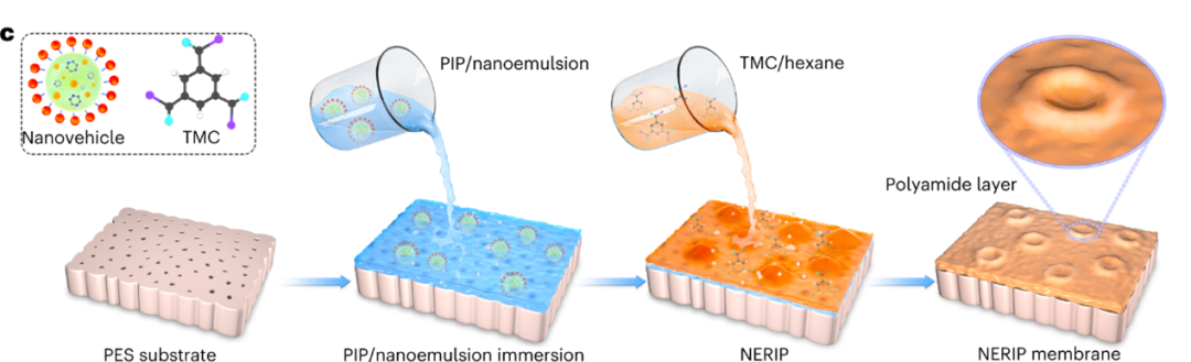1765777479微信图片_2025-12-15_133807_423.png 微信图片_2025-12-15_133807_423.png