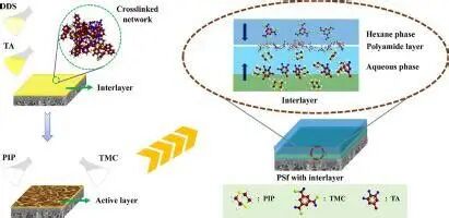 1765777494微信图片_2025-12-15_133810_409.jpg 微信图片_2025-12-15_133810_409.jpg