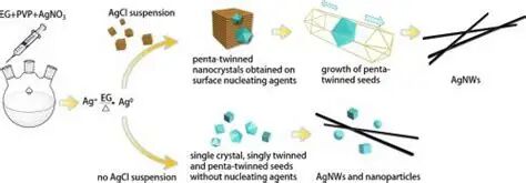 17670055997a430934bd679e6070221849c07078dd.jpeg 7a430934bd679e6070221849c07078dd.jpeg