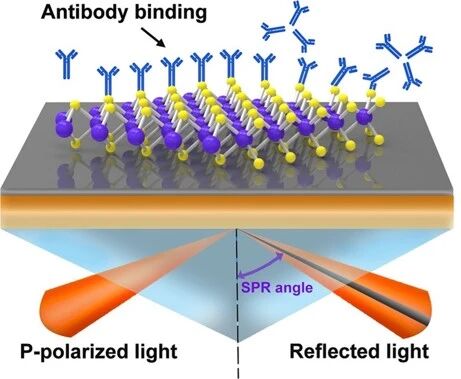 1767005758a7234459d73e6e66b90daec4ff114b2e.jpeg a7234459d73e6e66b90daec4ff114b2e.jpeg