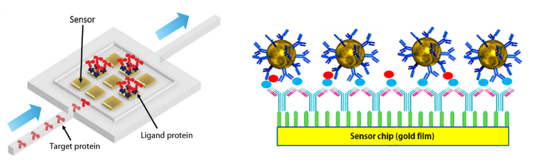 17670058420d513768f8cff39dfe1774bf923c6bb8.png 0d513768f8cff39dfe1774bf923c6bb8.png