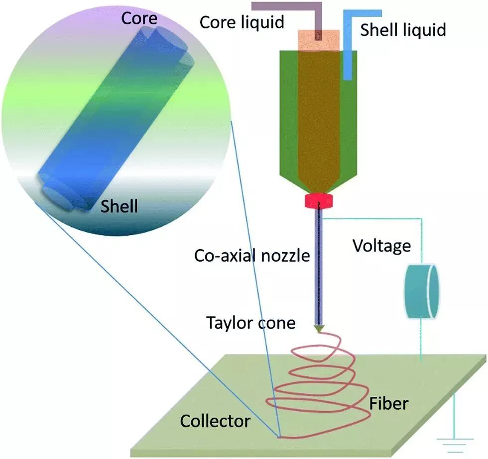 1769743066微信图片_2026-01-30_111336_095.jpg 微信图片_2026-01-30_111336_095.jpg