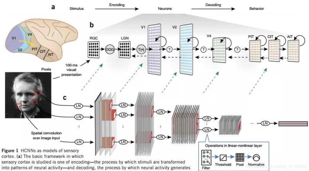 1769743307微信图片_2026-01-30_111424_135.png 微信图片_2026-01-30_111424_135.png