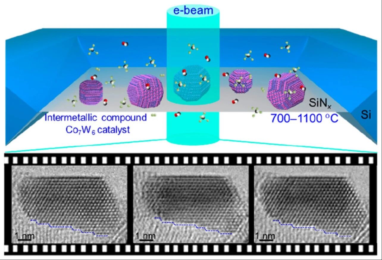1769743346微信图片_2026-01-30_111430_527.jpg 微信图片_2026-01-30_111430_527.jpg