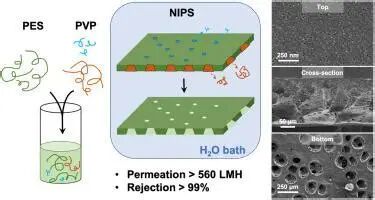 1771897165c417314b801d9a2d079bcb52e13b3bb7.jpeg c417314b801d9a2d079bcb52e13b3bb7.jpeg