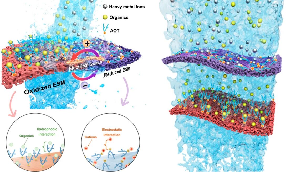 1771897190dba4cf51f90ed570c7bcd7896df6ab87.jpeg dba4cf51f90ed570c7bcd7896df6ab87.jpeg