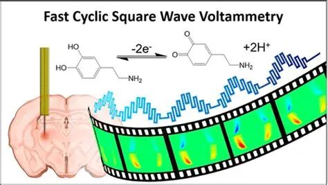 177189723992ace3cc6502fc9b91879d0ecbc7b555.jpeg 92ace3cc6502fc9b91879d0ecbc7b555.jpeg