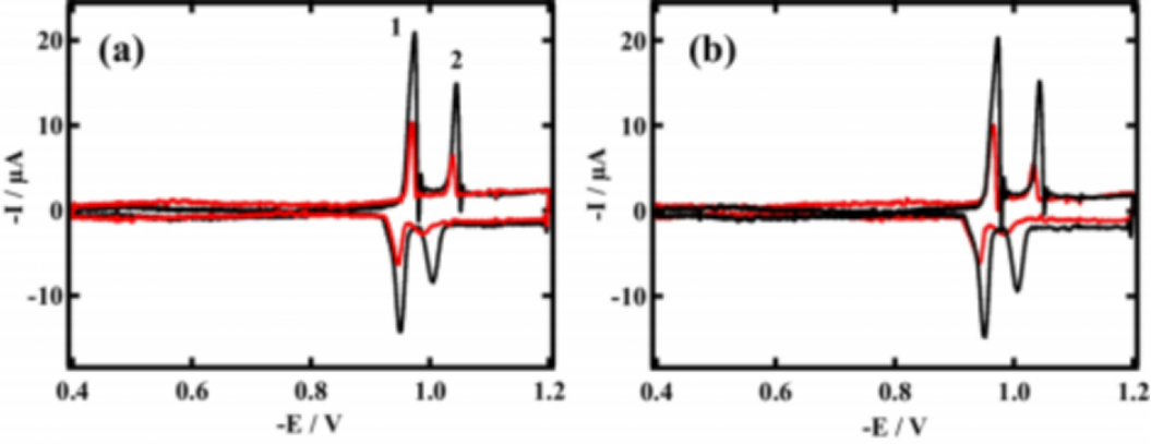 1771897252a6f9ed8a4c526fffe1dd09eb6dbbafe3.png a6f9ed8a4c526fffe1dd09eb6dbbafe3.png