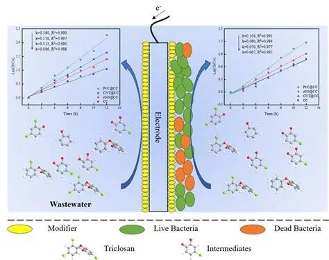 1771897345620e0b267b030bd84b2d36e43071d2ab.jpeg 620e0b267b030bd84b2d36e43071d2ab.jpeg
