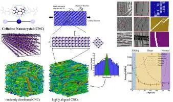 微信图片_2026-08-10_095804_938.jpg