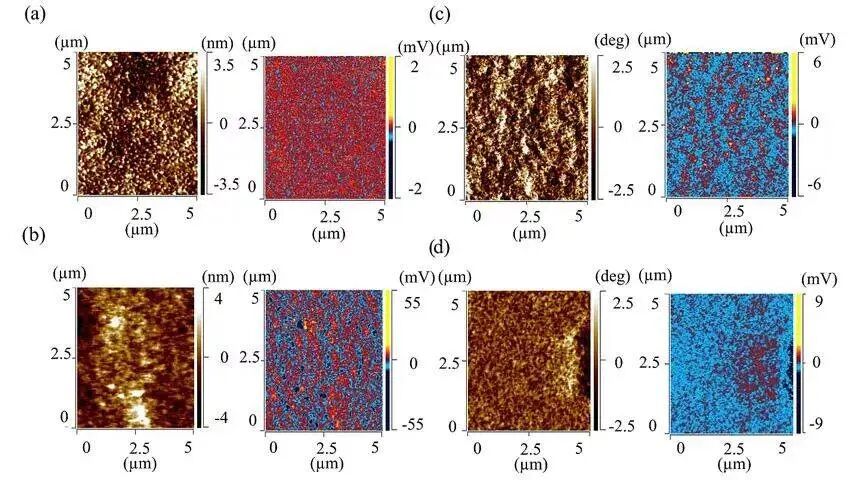 微信图片_2026-08-31_095531_759.jpg
